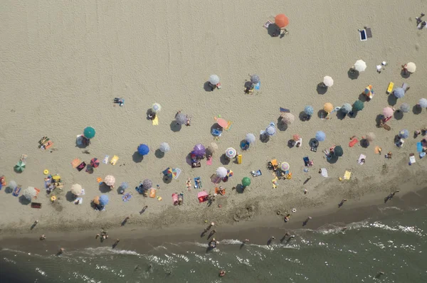 stock image on the beach in summer