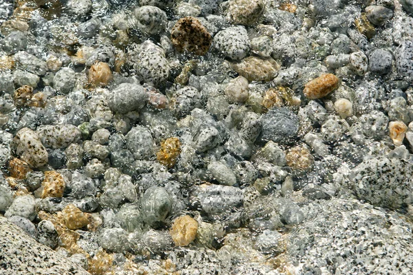小石と海水 — ストック写真