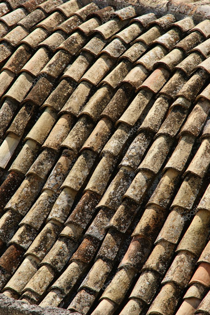 background-of-old-roof-tiles-stock-photo-fotografiche-9213479