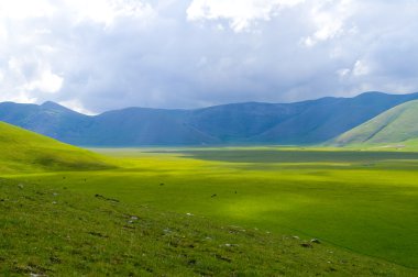 declivity dağ Vadisi üzerinde yeşil çayır.