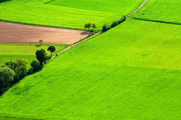 Grande prado verde . — Fotos gratuitas