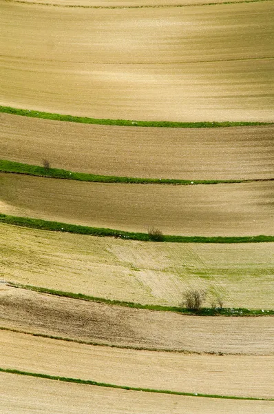 Grande prado verde . — Fotografia de Stock Grátis