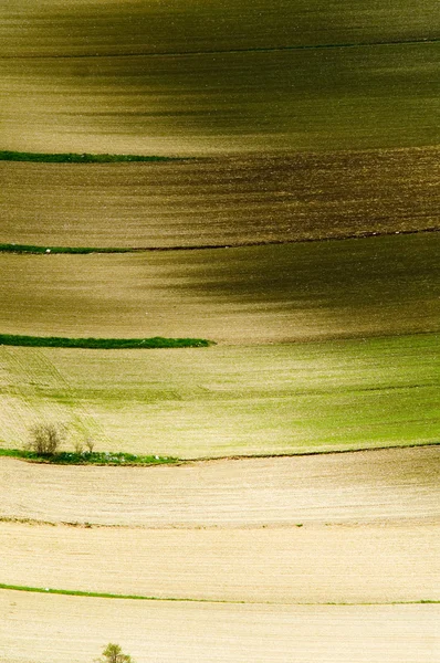 Große grüne Wiese. — Stockfoto