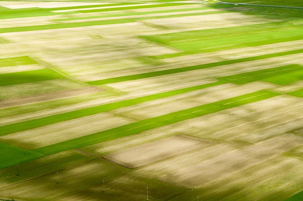 Big green meadow. — Stock Photo, Image