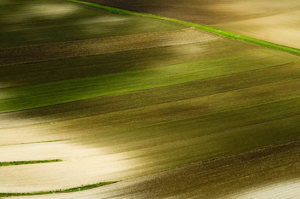 Grande prado verde . Fotos De Bancos De Imagens Sem Royalties
