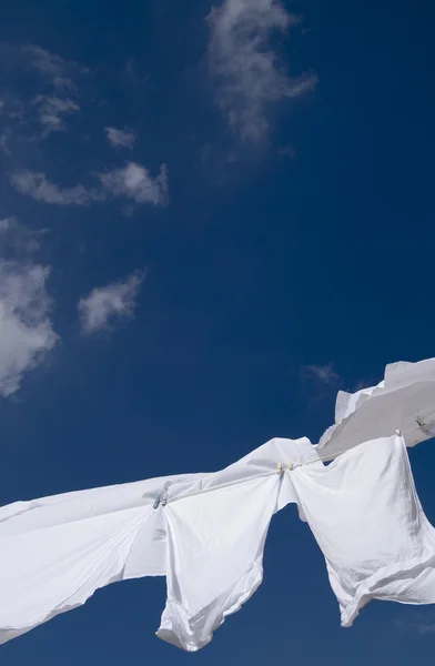 新鲜洗白毛巾干燥风 — 图库照片
