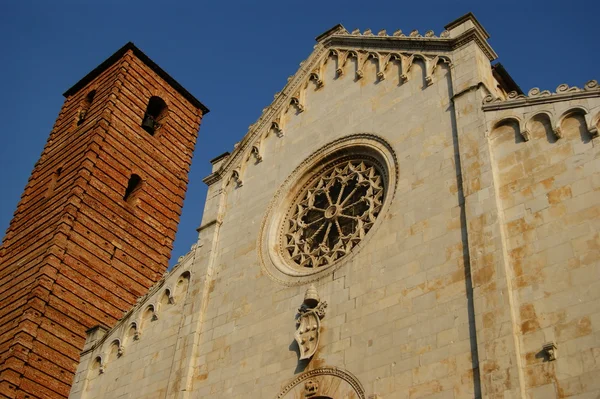 Cathedral of Pietrasanta Lucca Italy — Stock Photo, Image
