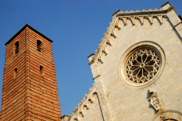 Katedra w pietrasanta lucca, Włochy — Zdjęcie stockowe
