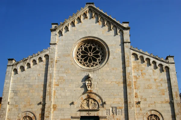 Katedralen i pietrasanta lucca Italien — Stockfoto