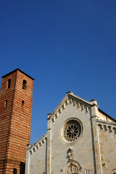 Pietrasanta, Lucca, Olaszország-székesegyház — Stock Fotó