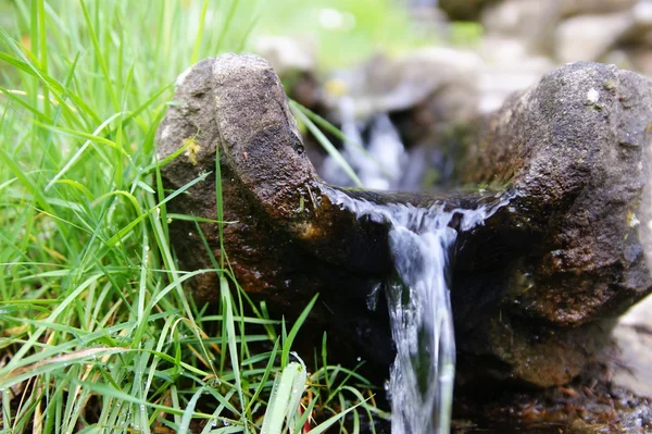 stock image Water spring