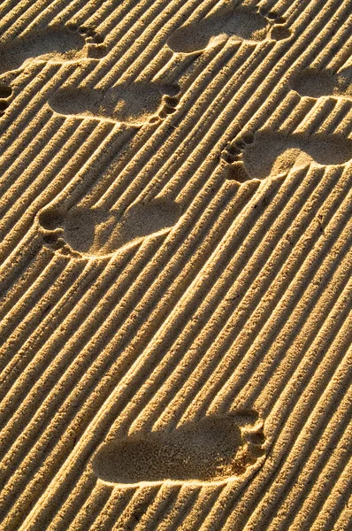 stock image Footprints