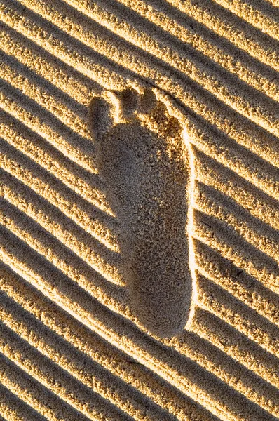 stock image Footprints