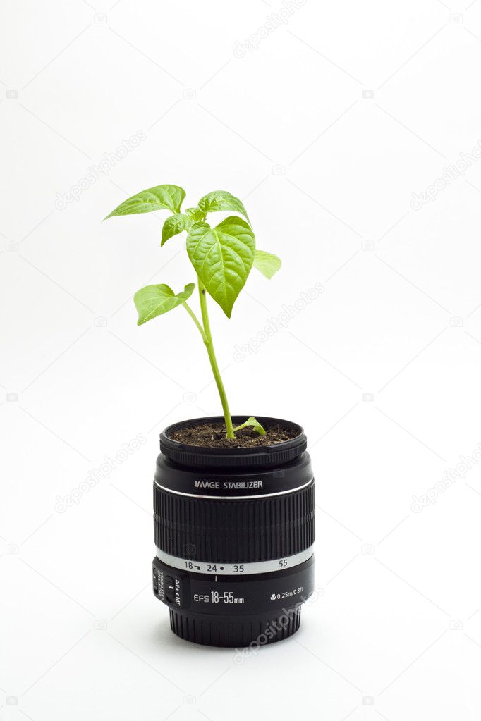 Plant grows inside the camera lens