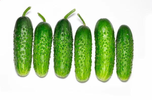 stock image Cucumbers on white background