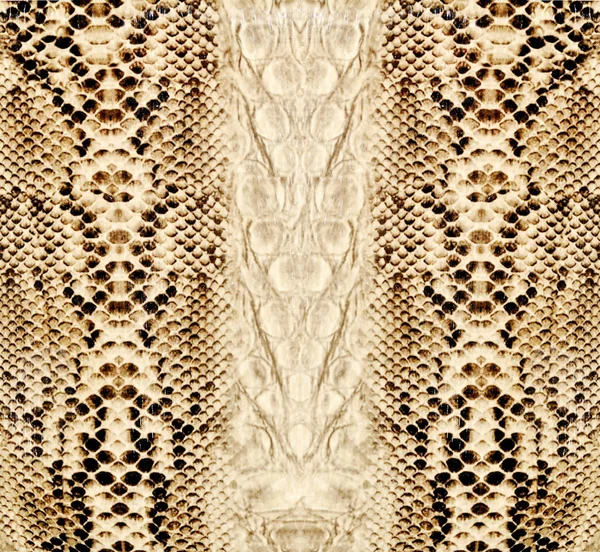 Pele de cobra, réptil — Fotografia de Stock