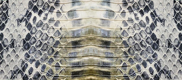Pele de cobra, réptil — Fotografia de Stock