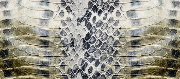 stock image Snake skin, reptile