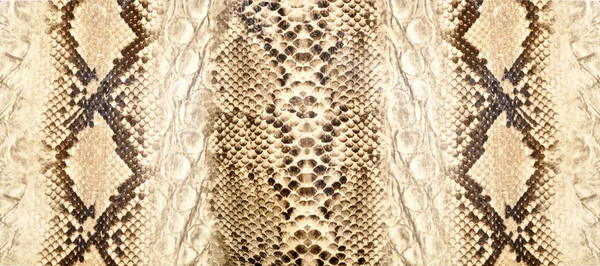 stock image Snake skin, reptile