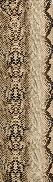 Snake skin, reptile — Stock Photo, Image