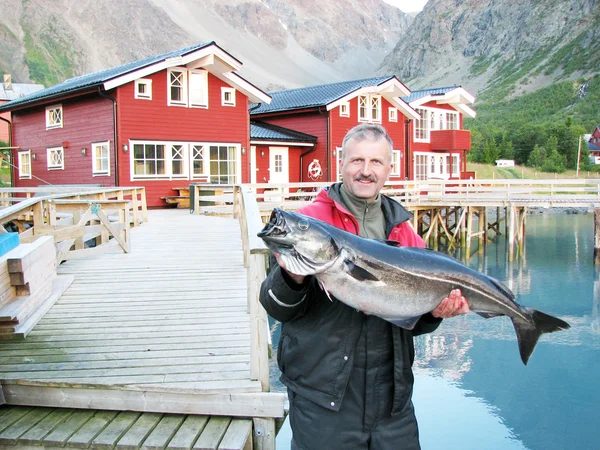 Stock image Fisherman holding a big fresh fish