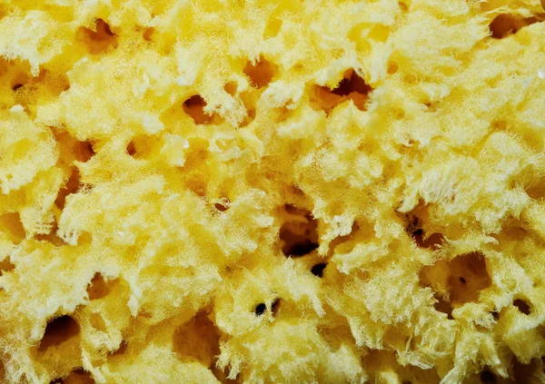 Yellow sponge texture — Stock Photo, Image