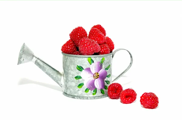 Red raspberry on white — Stock Photo, Image