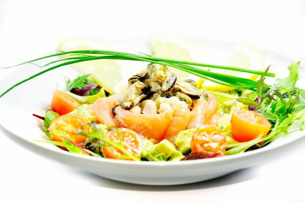 Freshness Salmon Salad — Stock Photo, Image