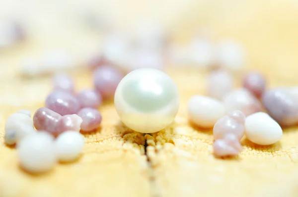 Image placer des perles dans une coquille sur les cailloux . — Photo