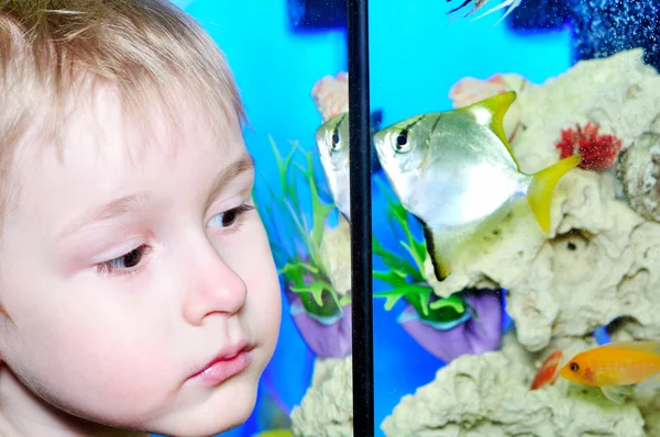 Un niño ve peces en el acuario —  Fotos de Stock