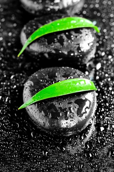 Zen stones with leaves and water drops — Stock Photo, Image