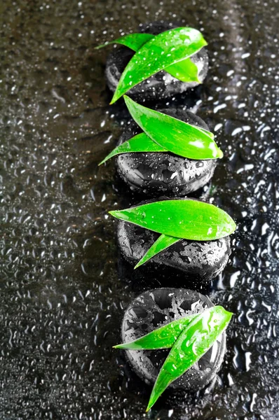 Zen taşlarla yaprak ve su damlaları — Stok fotoğraf