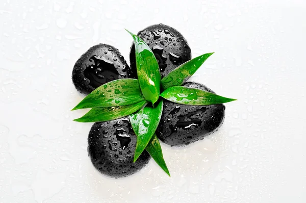Zen stones with leaves and water drops — Stock Photo, Image