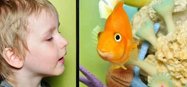 Un niño ve peces en el acuario —  Fotos de Stock