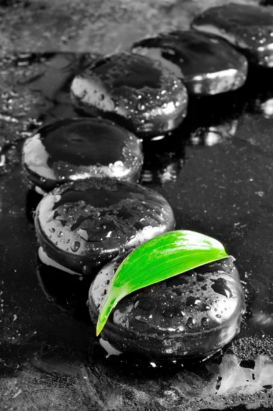 Pierres zen avec feuilles et gouttes d'eau — Photo