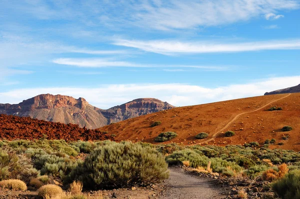 Teide National Park, Tenerife, Canary Islands — Stock Photo, Image