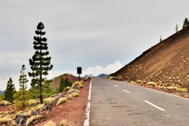 The road to Teide National park, Tenerife clipart