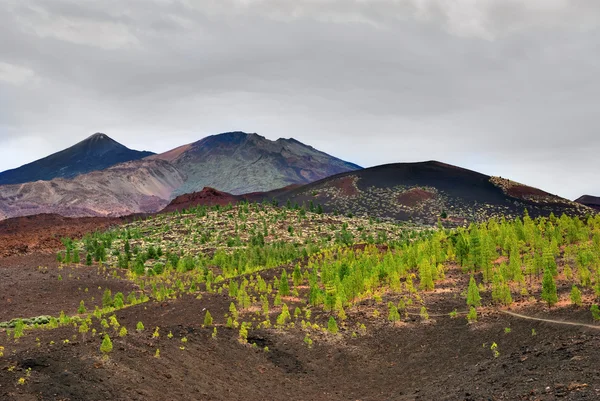 El teide wulkanu, Teneryfa, hiszpańskie Wyspy Kanaryjskie — Zdjęcie stockowe