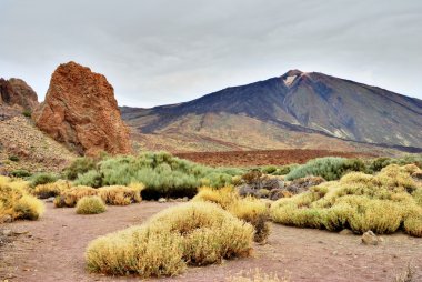 Roques De Garcia, Teide National Park, Tenerife clipart