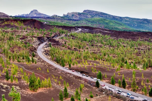 stock image Access Road Teide National Park, Tenerife