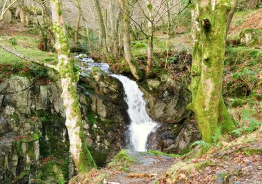 Scenic Waterfall At Rydal Hall clipart