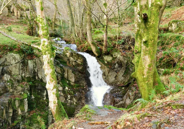 Cascata panoramica a Rydal Hall — Foto Stock