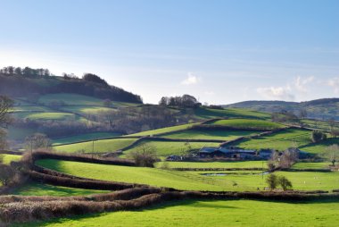 Lush Green English Countryside clipart