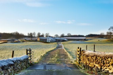 Frosty Farm Lane Hawkshead, English Lake District clipart