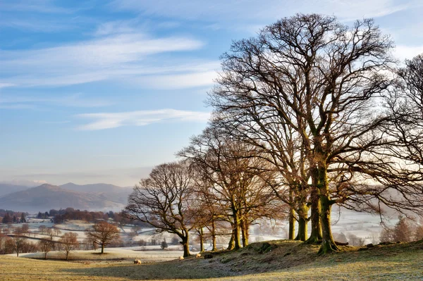 Inverno nel Lake District inglese — Foto Stock