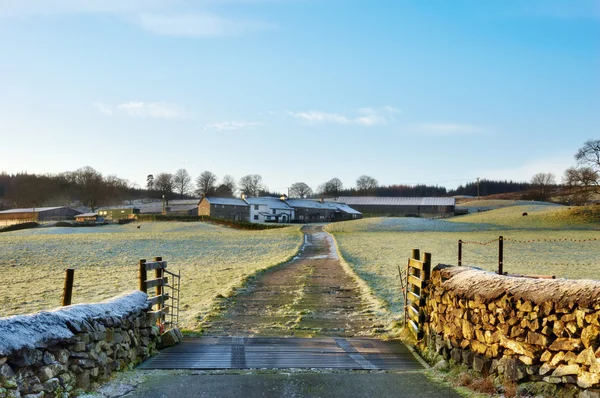 Frosty Farm Lane Hawkshead, English Lake District — Stock Photo, Image