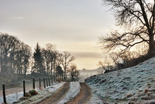 Frozen Farm Track At Sunrise — Stock Photo, Image