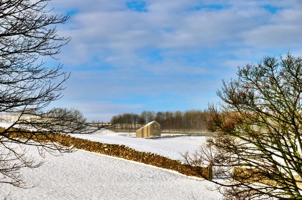 雪に覆われた農地の納屋 — ストック写真