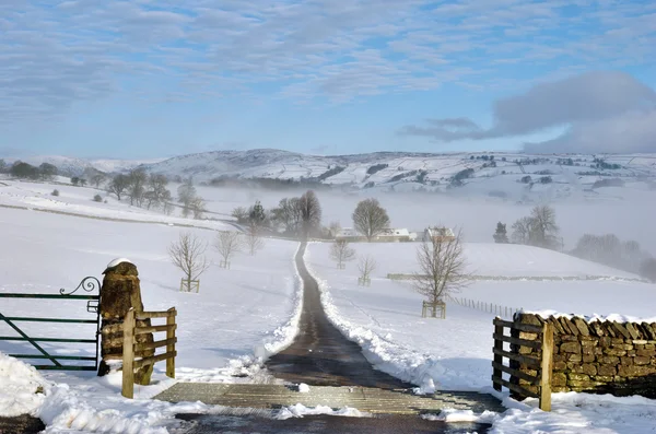 stock image Farm Track Leading Through Snow