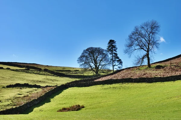 Landwirtschaftliches Ackerland englische Seenplatte — Stockfoto